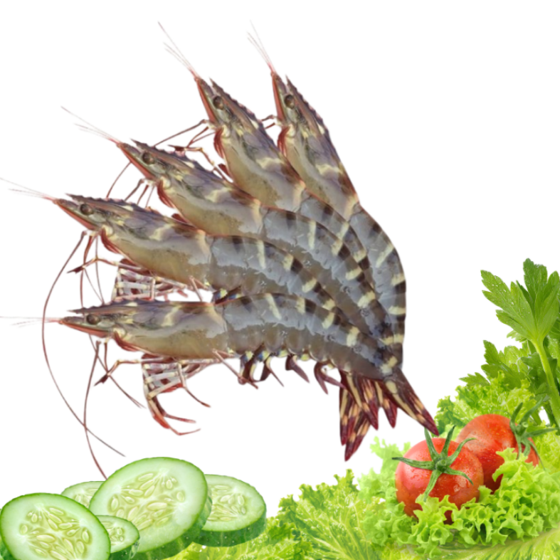 Tôm Sú Tươi (200g)