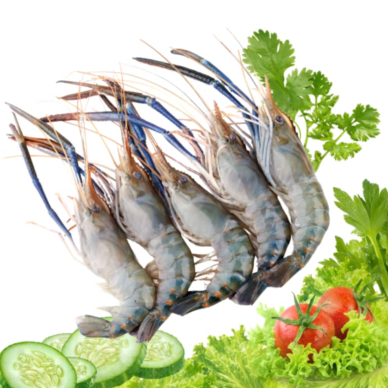 Tôm Càng Xanh (500g)